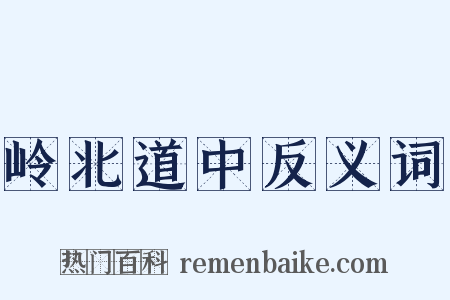 岭北道中反义词是什么意思的图片